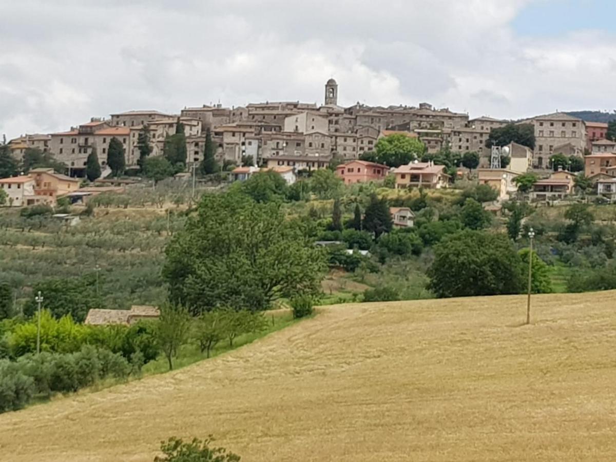 Al Ginepro Bed and Breakfast Montecchio  Εξωτερικό φωτογραφία
